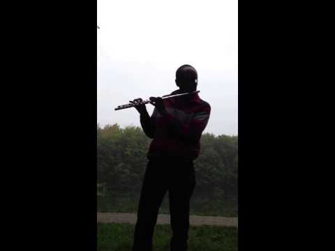 Ronald Snijders plays flute solo " The Hague wood blues"  (Ronald Snijders).