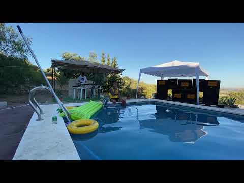 SHIVA SKANK LIVE SHOTS #PATOLMUNDO Feat. SEÑOR R.