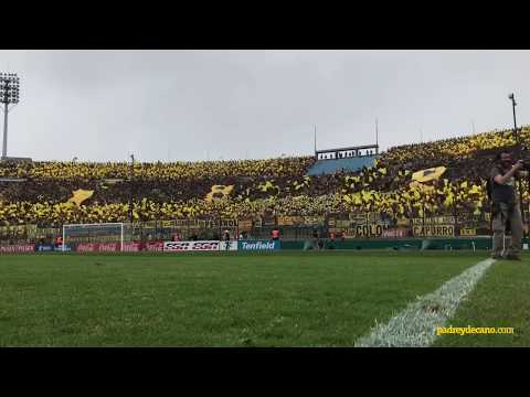 "Recibimiento clásico Bicampeón 2018 - Hinchada Peñarol" Barra: Barra Amsterdam &bull; Club: Peñarol