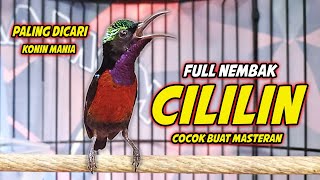 Download lagu KOLIBRI NINJA GACOR FULL NEMBAK ISIAN TONJOLAN CILILIN !! PANCINGAN KONIN BAHAN AGAR CEPAT EMOSI mp3 Download lagu KOLIBRI NINJA GACOR FULL NEMBAK ISIAN TONJOLAN CILILIN !! PANCINGAN KONIN BAHAN AGAR CEPAT EMOSI mp3