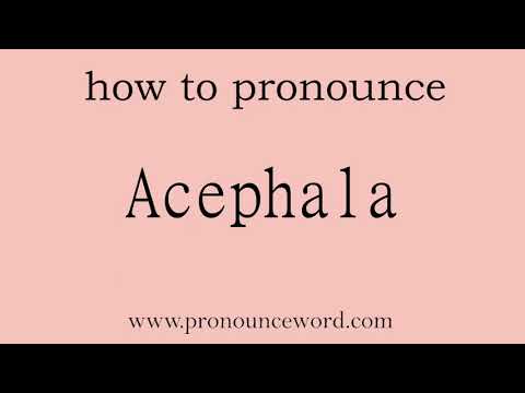 Acephala: How to pronounce Acephala in english (correct!).Start with A. Learn from me.