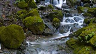 L'Eau vive (Guy Béart) - Mario Hacquard
