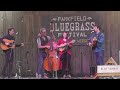 Gillian Welch Tear My Stillhouse Down by AJ Lee & Blue Summit