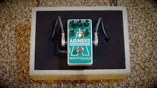 Video thumbnail for Catalinbread Adineko Oil Can Delay by Pedal of the Day
