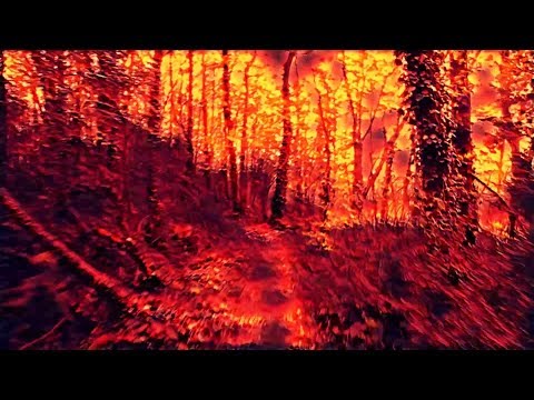 Cinder - Wildfire Part 2 (losscom Remix) [Official Video by SVDK]