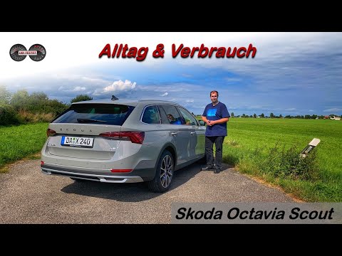 Skoda Octavia Scout 2.0 TDI 4x4 *200PS* im Alltag | Test - Review - Verbrauch
