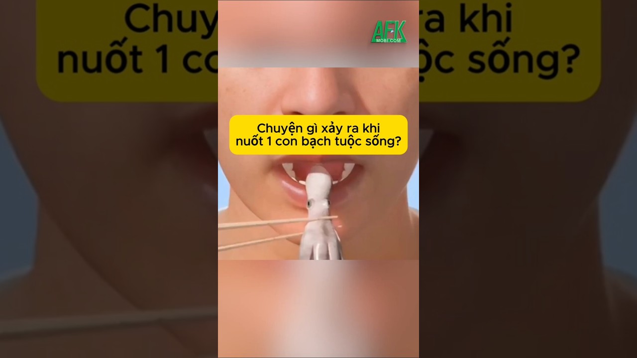 Chuyện gì xảy ra khi bạn nuốt 1 con bạch tuộc sống?