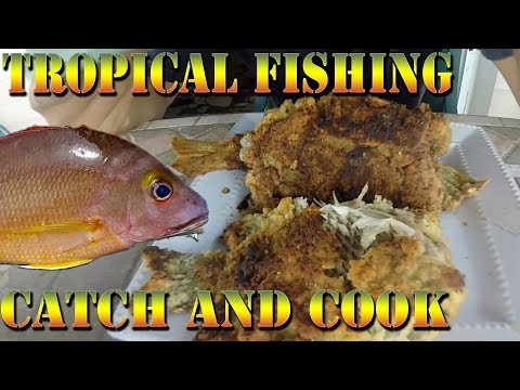 Tropical Shore Fishing Catch and Cook - Po’apa’a Point - Fishing With Subscribers B.O.D.S. 34