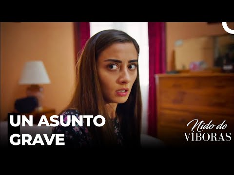 ¡Elvan Está En Un Gran Problema! - Nido De Víboras Capitulo 30 (Dobladas en Español)