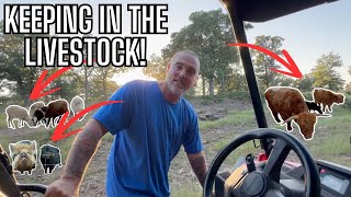 Checking Fences & Ranch Talk! Dead Trees & Massive Rocks on the Farm!