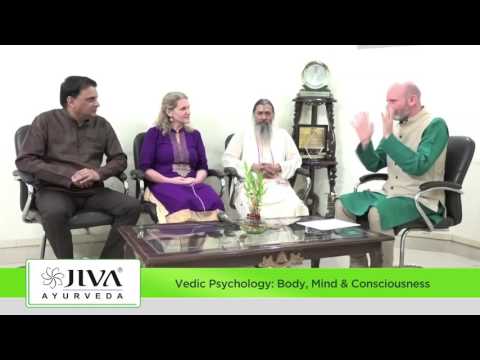Understanding Your Body  , Mind & Consciousness | Interview with Dr. Partap Chauhan  , Dr Satyanarayana Dasa Ji and Jessica