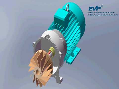 Liquid ring vacuum pump installation