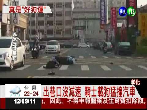不看路搶快撞車 騎士彈飛狗翻滾