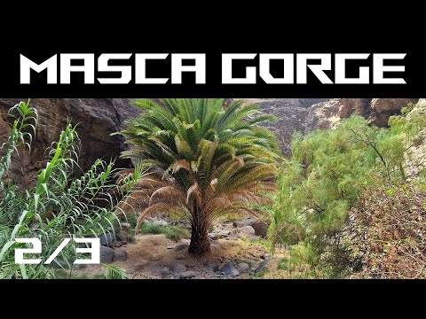 Masca Gorge Tenerife: An extended hike + boat trip at the end #2/3 [4k] [Silent Hiking]
