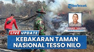 Taman Nasional Tesso Nilo Terbakar, Titik Api Menjalar di Area Seluas 5 Hektare