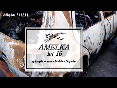 PROFIRAPTYKA "Ostatni zakręt"