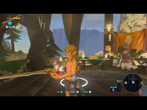 Botw all dungeons IST tips