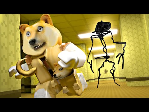 Um Doguinho nas Backrooms do Roblox! | Apeirophobia