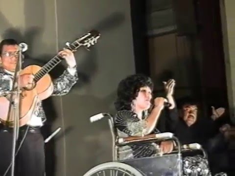 ELVIA Castro en vivo 20 años de amor los hnos Castro