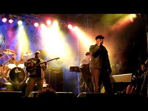 Dr Ring Ding & Sharp Axe Band: Dancehall Nice Again Live @ Bersenbrück Reggae Jam 30.07.2010