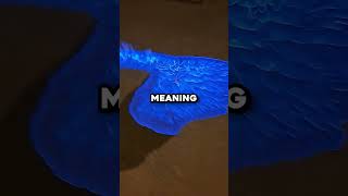 He Made Blue Fire 🤯 (@ms_aviation1931)