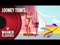 Looney Tunes | Road Runner and Wile E. Coyote | Mid-60's Compilation | Warner Classics
