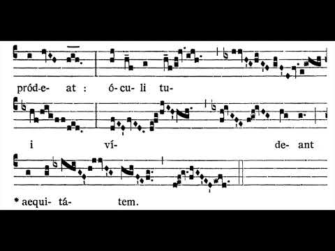 10th Sunday after Pentecost GRADUAL:  Custódi me  (solfeggio)