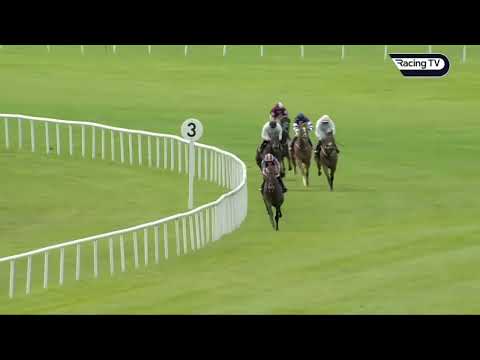 Ballydoyle's Grosvenor Square Sensational in the St. Leger Trial