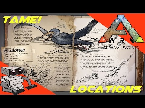 Ark Survival Evolved - Pelagornis Where And What About It