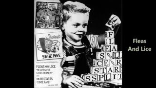 Fleas And Lice & The Restarts - 2002 Split Album