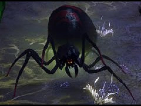 Divinity Original Sin 2: A Web of Desire Quest (EXTRA TALENT)