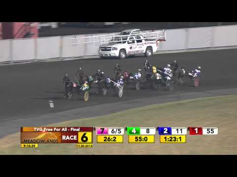 TVG Free For All Trot Final - Market Share - November 30, 2013