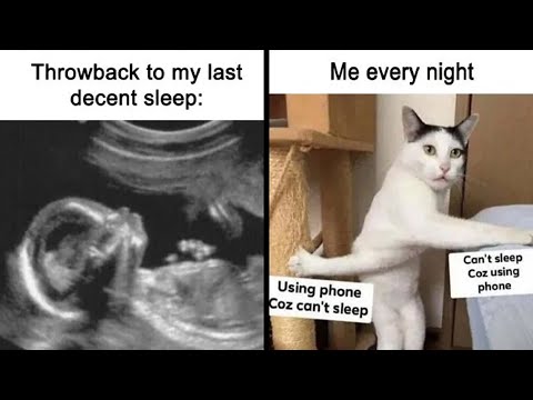 Insomnia Memes