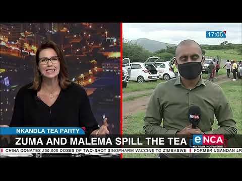 Nkandla Tea Party Zuma and Malema spill the tea