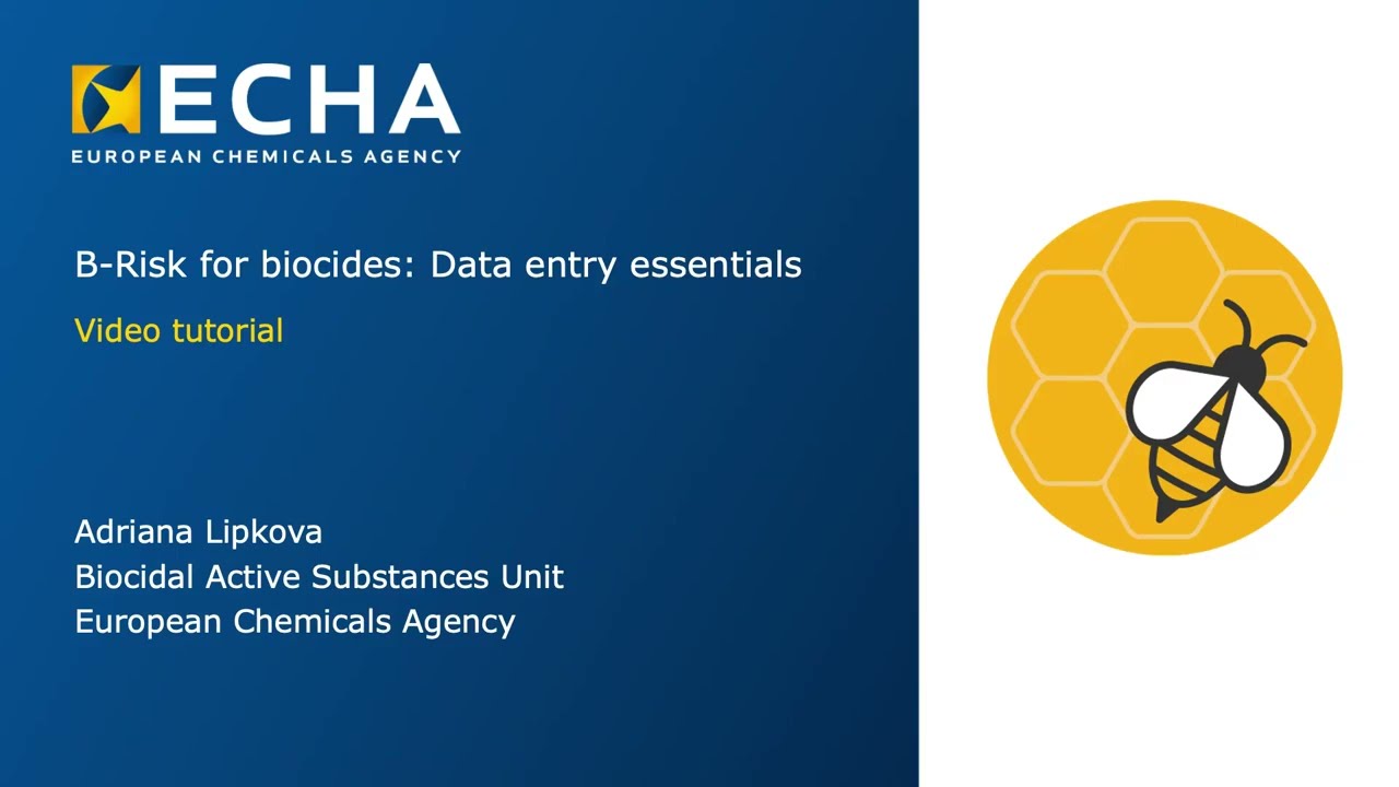 B-Risk for biocides - Part 2: Data entry essentials