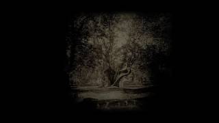 Nickos Harizanos - Night in the Forest op.6 - Anne Pujolas, Flute