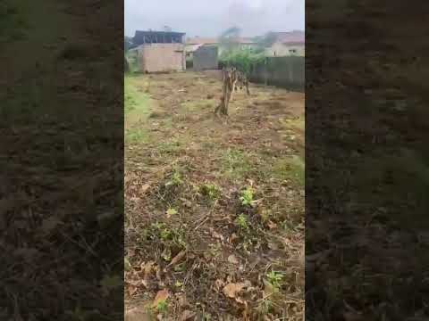 Half Plot of Land – Agric, Ikorodu