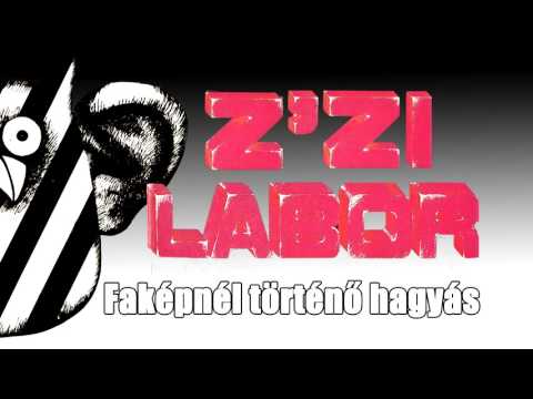 Z'zi Labor - Melegágyi kertész - Faképnél történő hagyás (1 lemez - 1986)