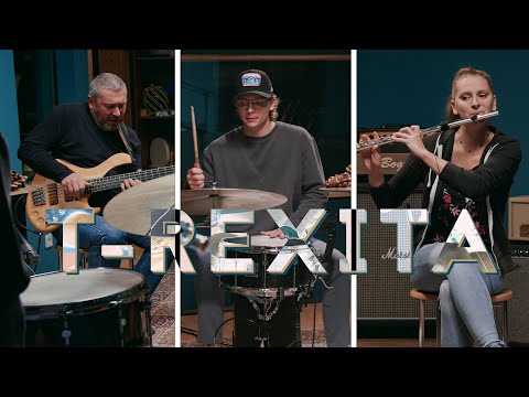 Public Peace Trio - T-Rexita