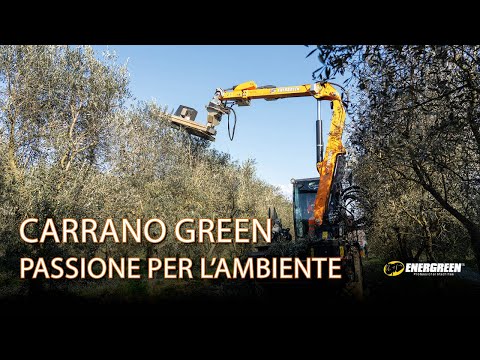EnerGREEN MAINTENANCE around the world incontra CARRANO GREEN a Teggiano | Manutenzione del Verde