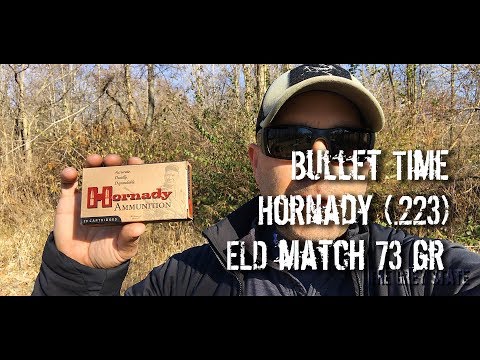 Bullet Time - Hornady ELD Match 73 Gr .223 Chronographed