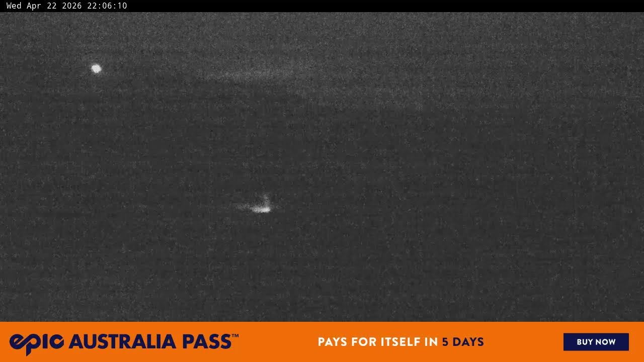 View full-screen Blue Cow Live