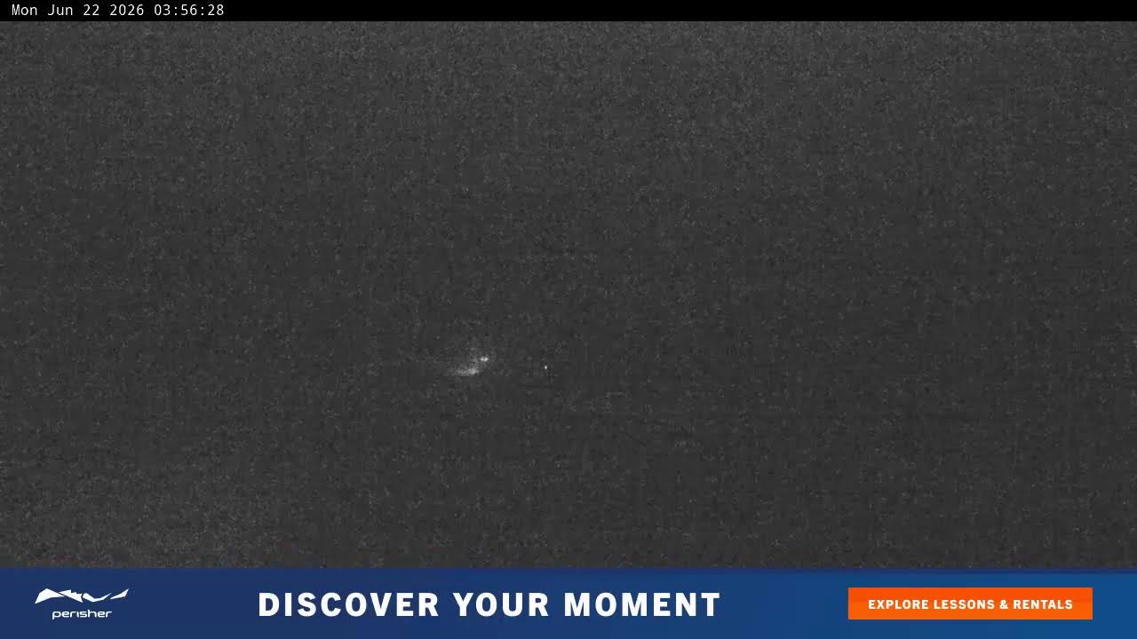 View full-screen Blue Cow Live