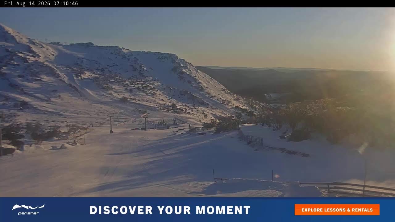 View full-screen Blue Cow Live