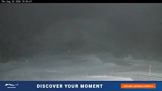 Blue Cow Live Camera live webcam