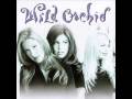 Come As You Are - Wild Orchid