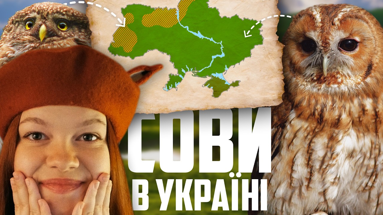 ЯКІ СОВИ МЕШКАЮТЬ В УКРАЇНІ?