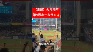 【速報】大谷翔平第9号のツーランホームラン🔥 #大谷翔平 #大谷 #ドジャース #ホームラン #今日の大谷さん #盗塁 #現地映像 #ツーラン #2ラン #マーリンズ #マイアミ #9号 #第9号