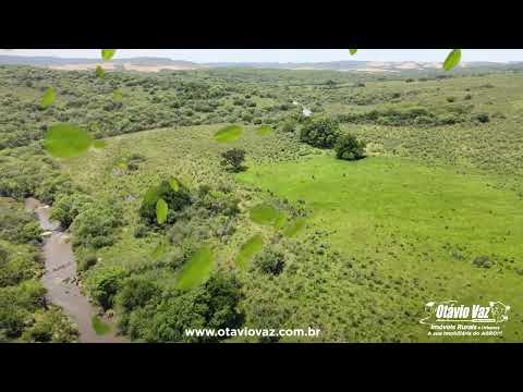 🌿🐄 Oportunidade em Lavras do Sul/RS - Propriedade de 64 Hectares! 🌾🌳