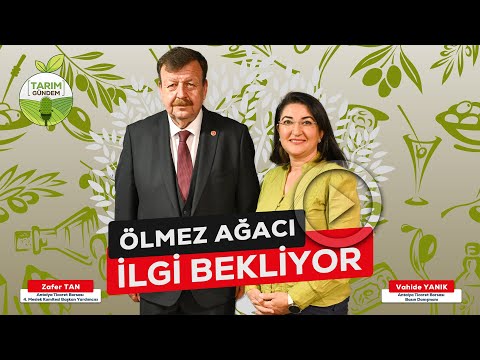 Tarım G&uuml;ndem - &Ouml;LMEZ AĞACI İLGİ BEKLİYOR (9. B&ouml;l&uuml;m)